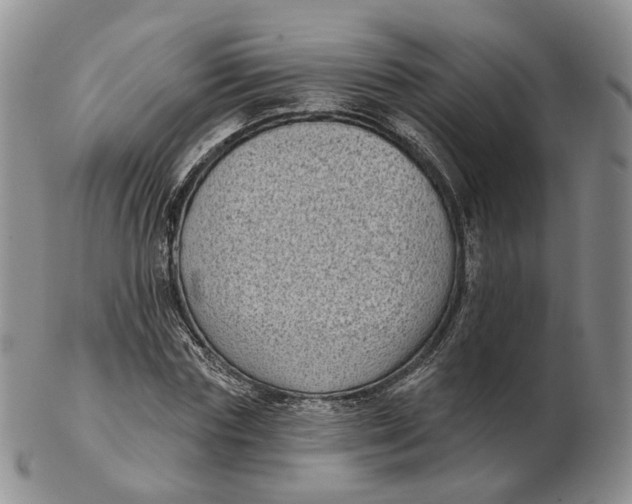 X0000103150827200809121814