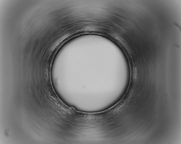 X0000103150829200809121814