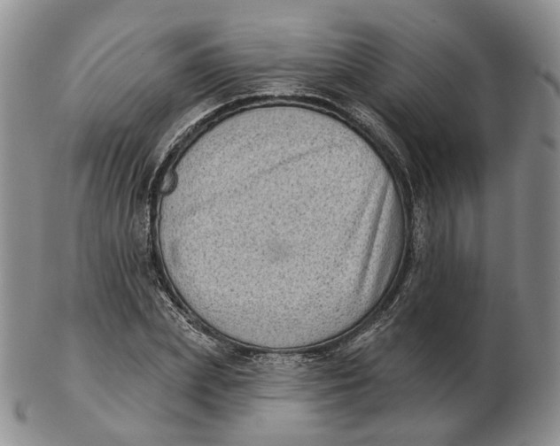 X0000103150831200809121814