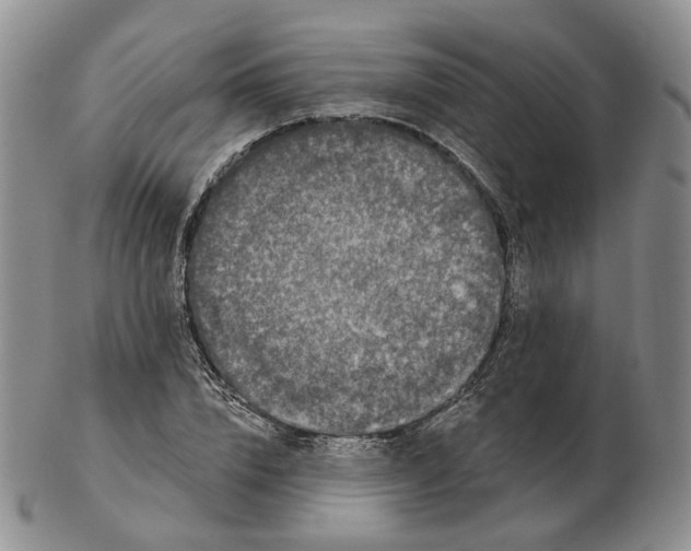 X0000103150832200809121814