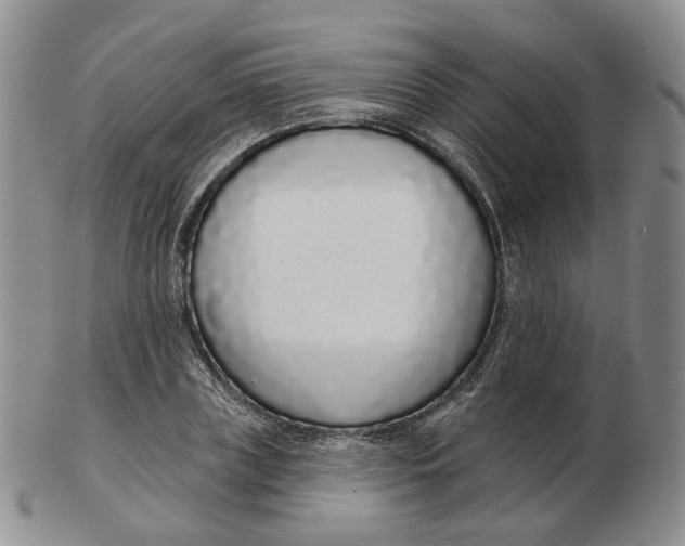 X0000103150835200809121814