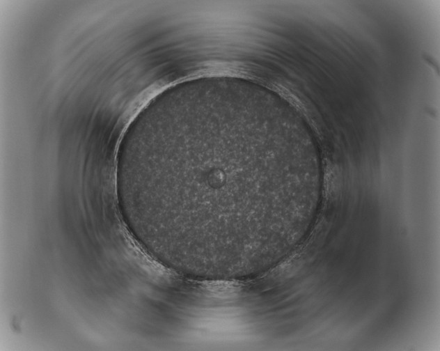 X0000103150836200809121814