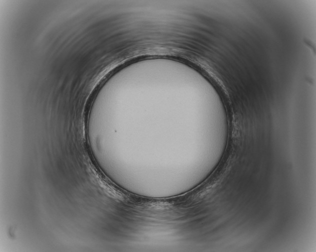 X0000103150837200809121814