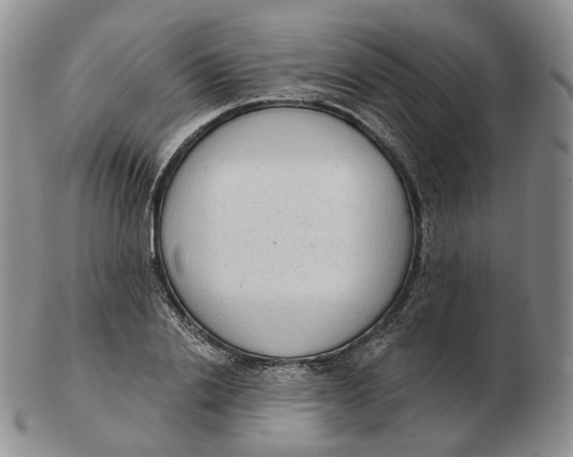 X0000103150838200809121814