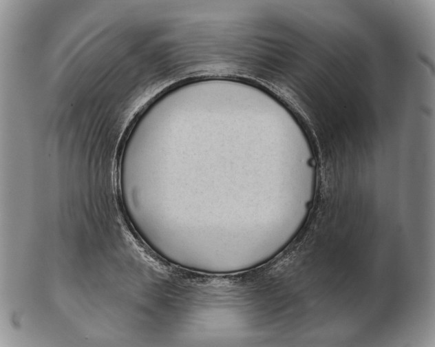 X0000103150839200809121814