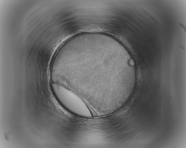 X0000103150840200809121814