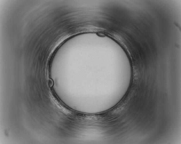 X0000103150843200809121814