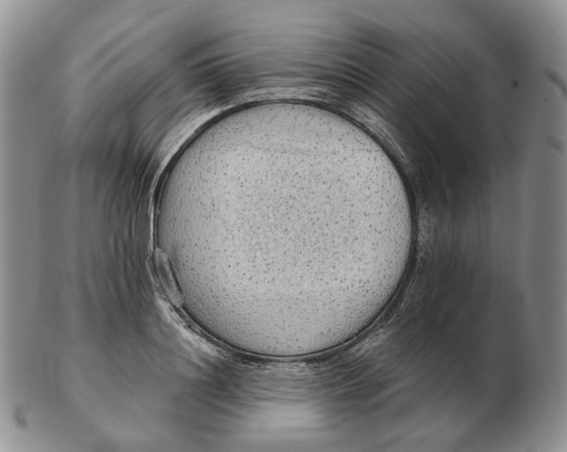 X0000103150844200809121814