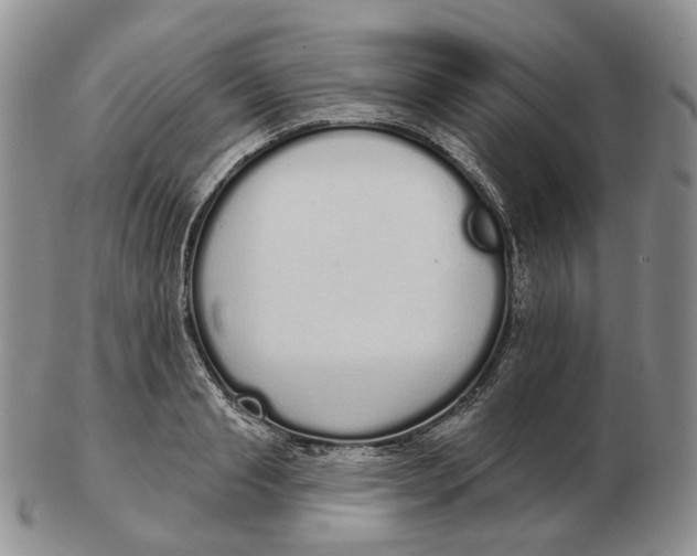 X0000103150845200809121814