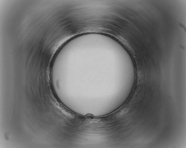 X0000103150846200809121814