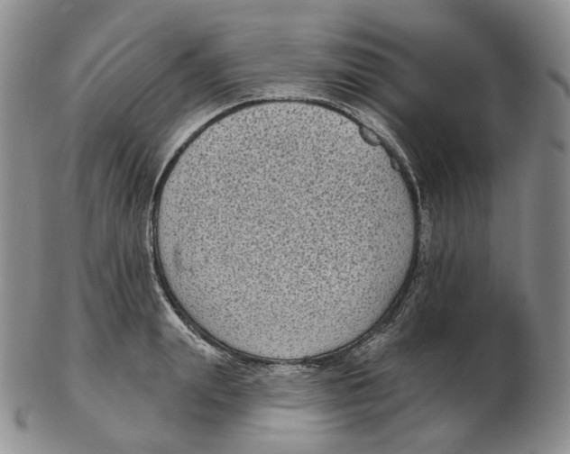 X0000103150847200809121814