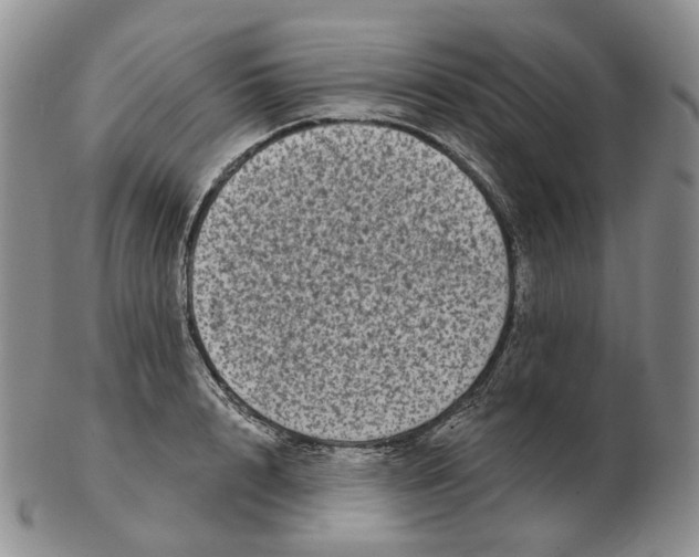 X0000103150848200809121814