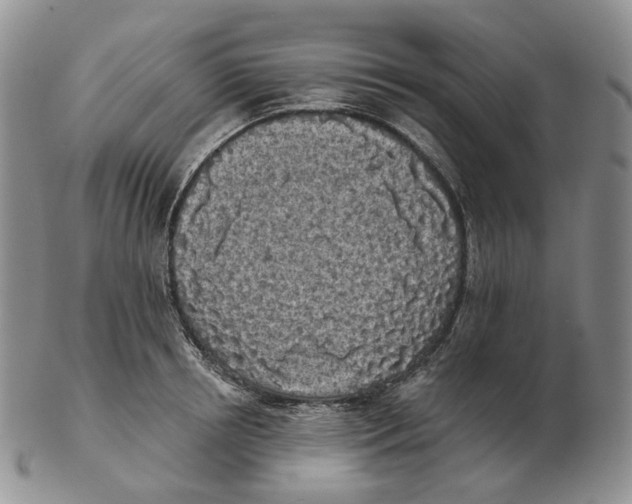 X0000103150850200809121814