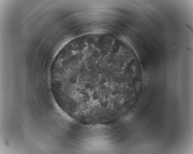 X0000103150851200809121814