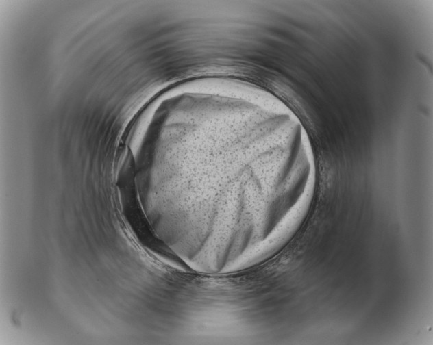 X0000103150852200809121814