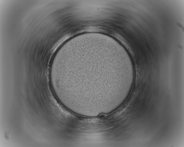 X0000103150853200809121814