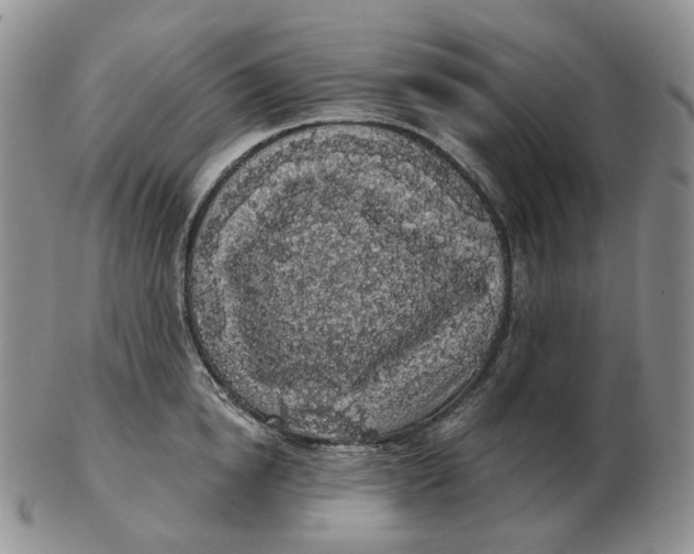 X0000103150854200809121814