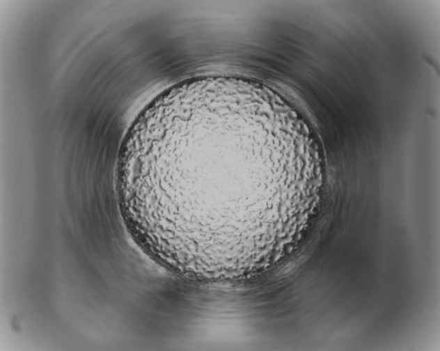 X0000103150855200809121814