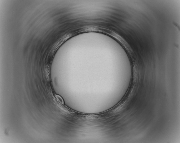 X0000103150857200809121814