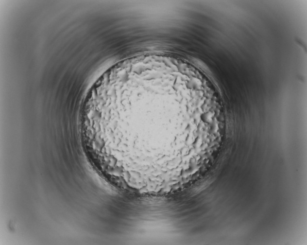 X0000103150859200809121815