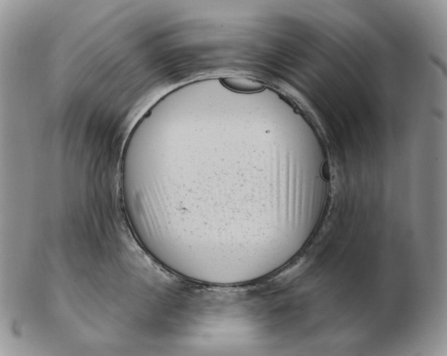 X0000103150860200809121815