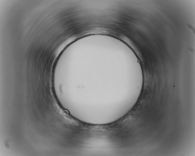 X0000103150861200809121815