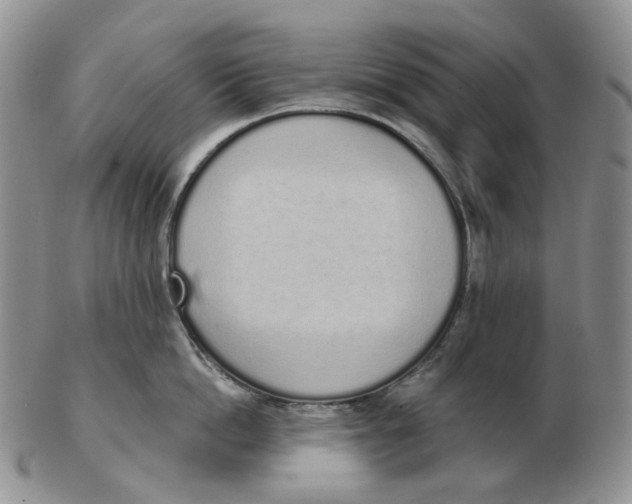 X0000103150862200809121815