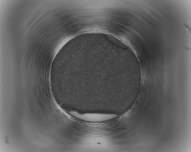 X0000103150863200809121815