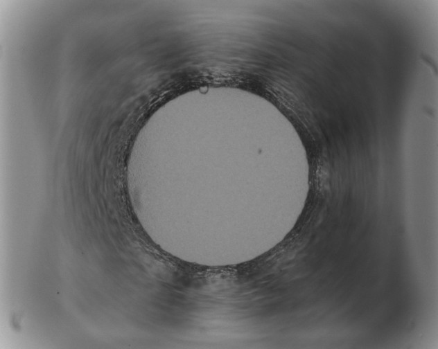 X0000103150865200809121814