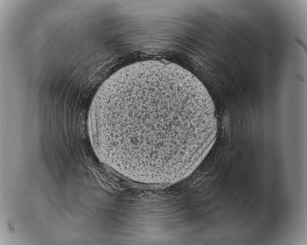 X0000103150868200809121814