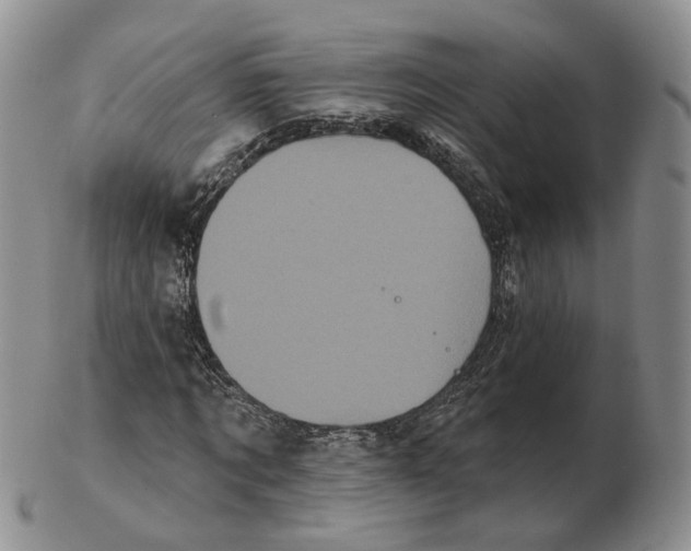 X0000103150869200809121814