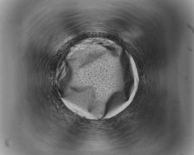 X0000103150870200809121814