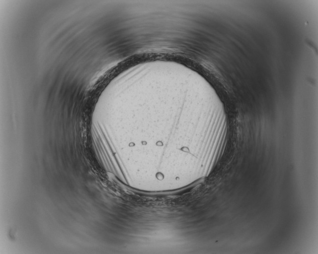 X0000103150872200809121814