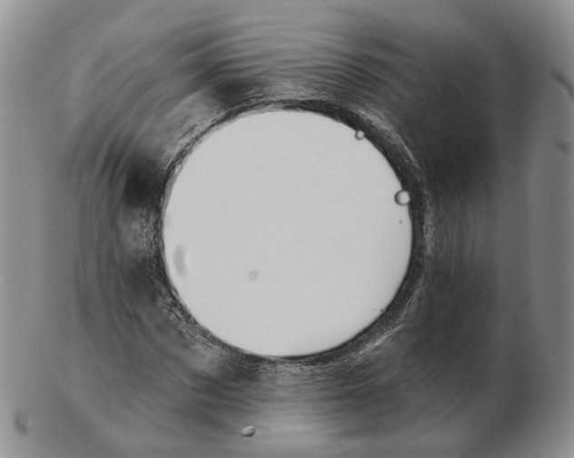 X0000103150873200809121814