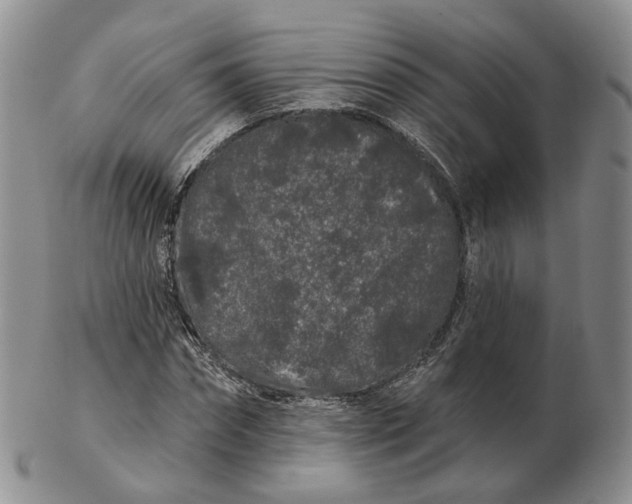 X0000103150874200809121814