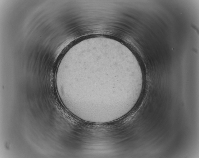 X0000103150875200809121814