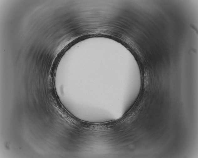 X0000103150876200809121814