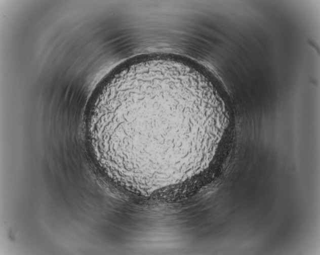 X0000103150879200809121814