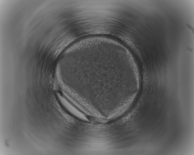 X0000103150881200809121814