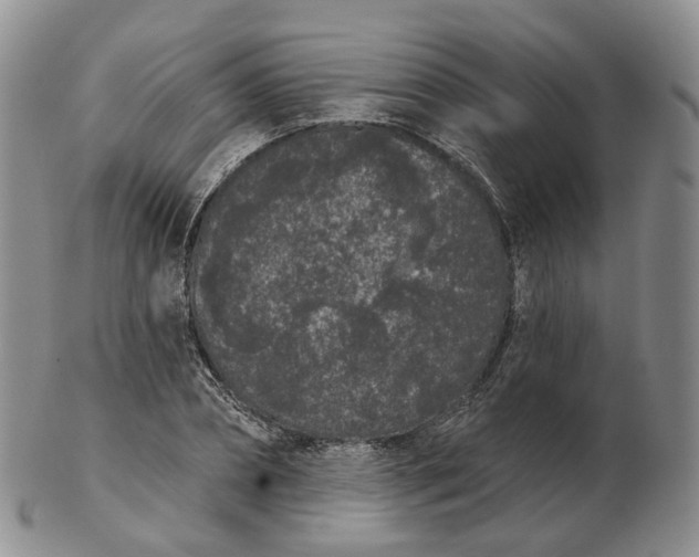 X0000103150882200809121814