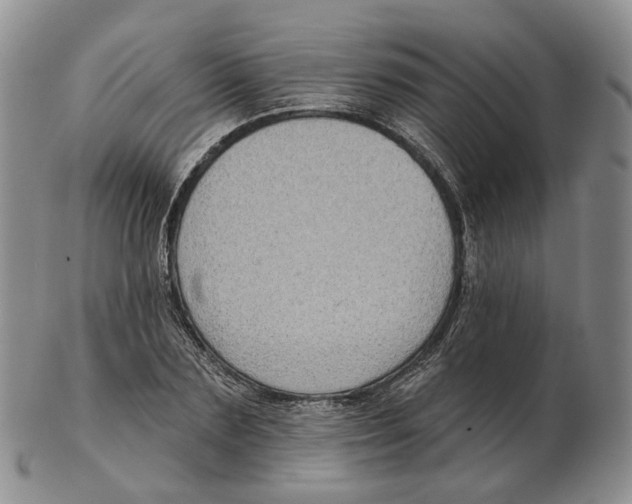 X0000103150883200809121814