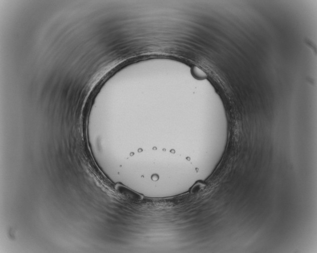 X0000103150884200809121814