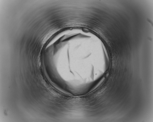 X0000103150885200809121814