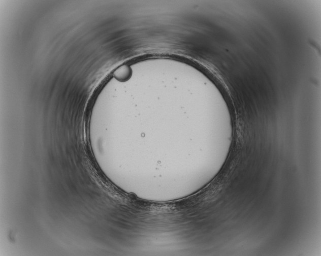 X0000103150887200809121814