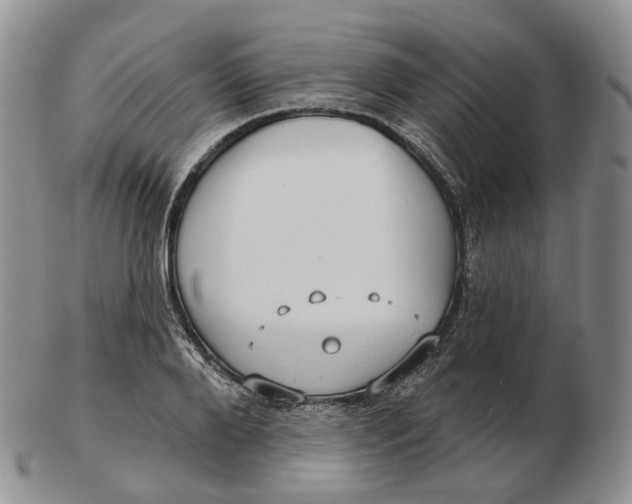 X0000103150888200809121813