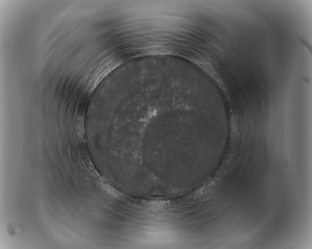 X0000103150889200809121813