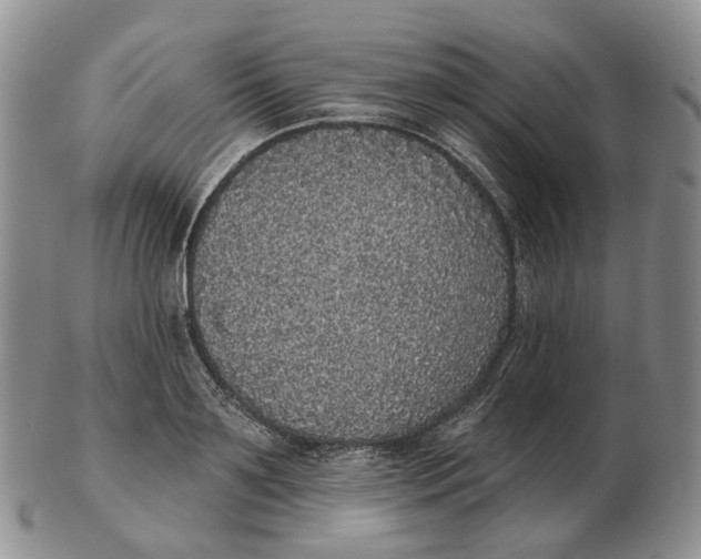 X0000103150891200809121813