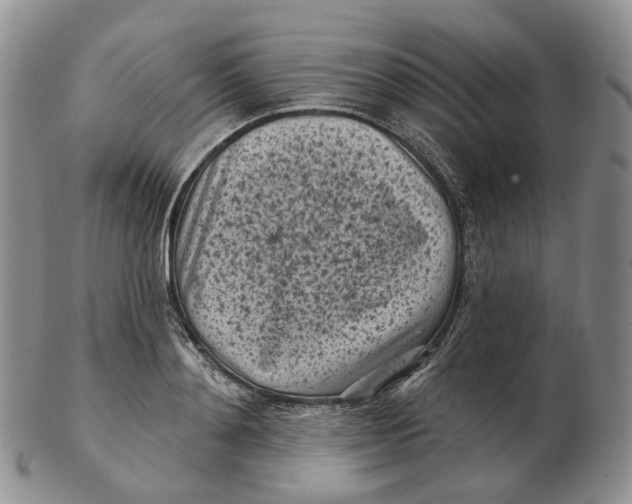 X0000103150892200809121813