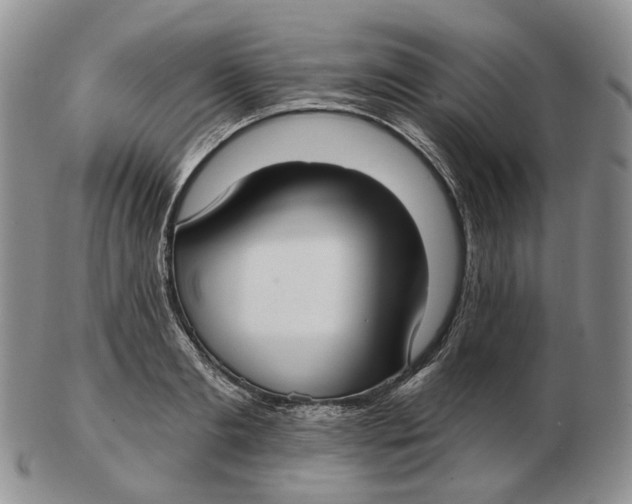 X0000103150893200809121813