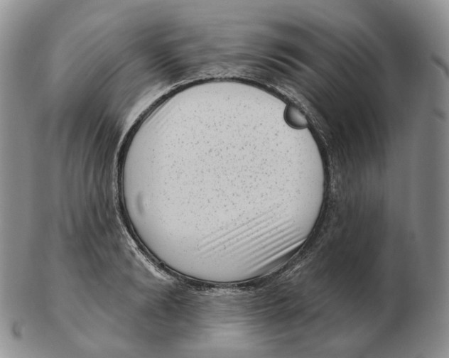 X0000103150894200809121813